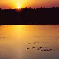 Mattaponi River