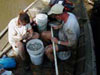 fish capture
