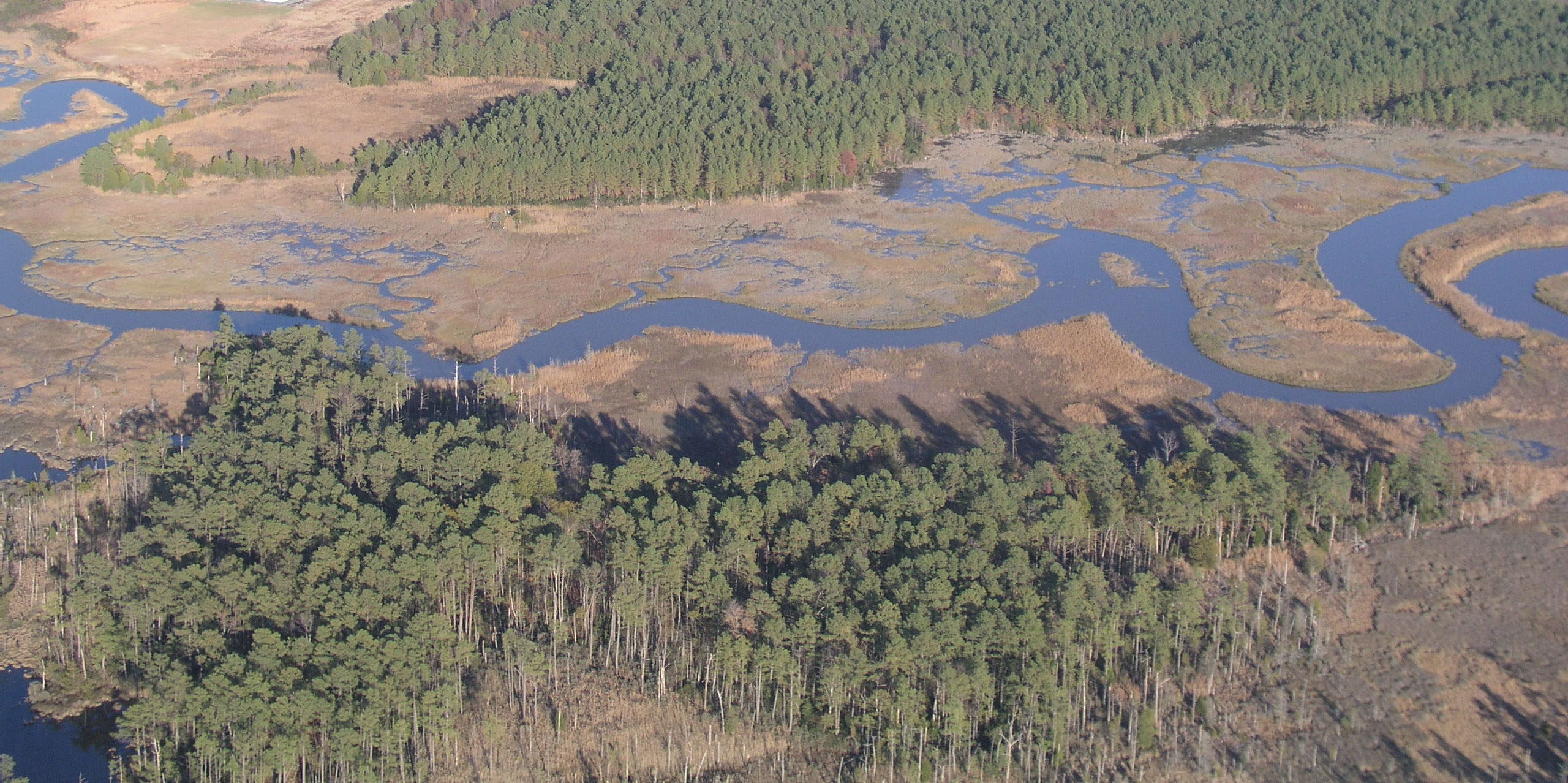 Tidal Wetlands