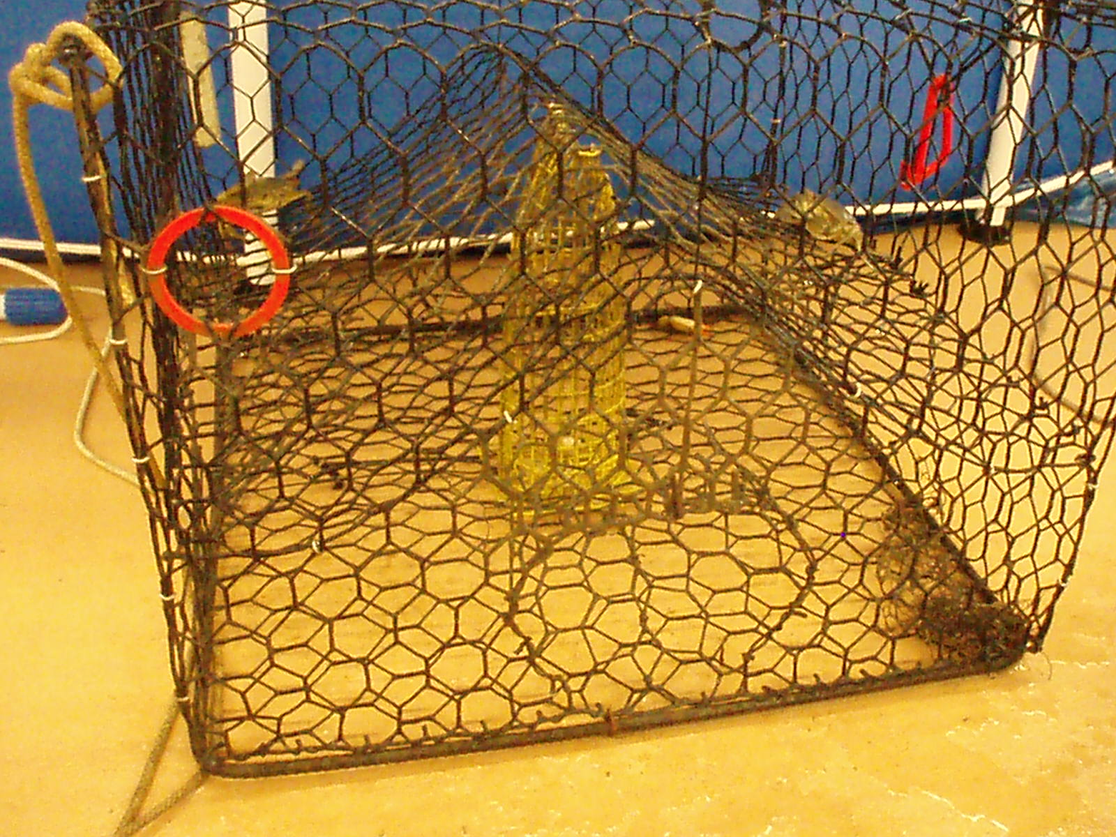 modified crabpot