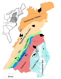 atlantic slope consortium