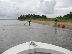 net hauls