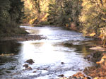 River Flow