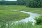 Taskinas Creek