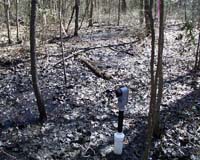 well site