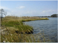 wetlands kiosk