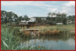 marsh