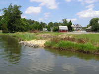 sill planted marsh