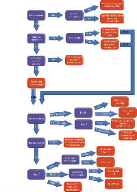 Decision Tree Diagram