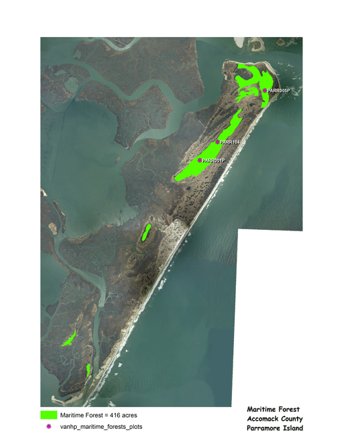 Parramore Island
