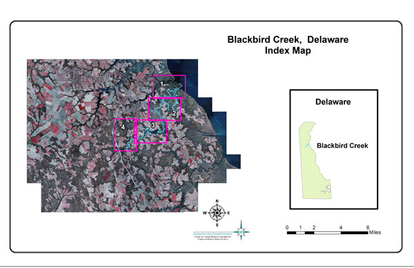blackbird creek
