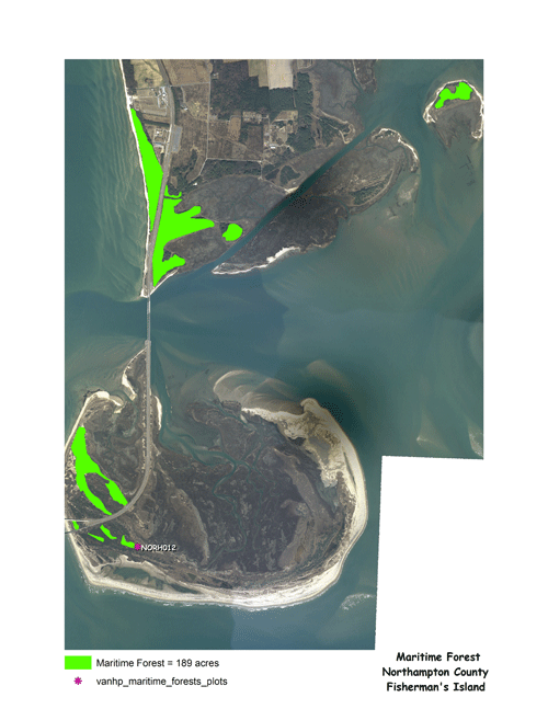 Fisherman's Island