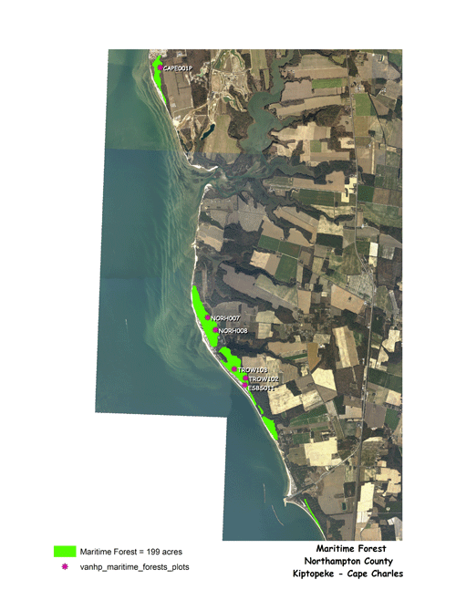 Kiptopeke