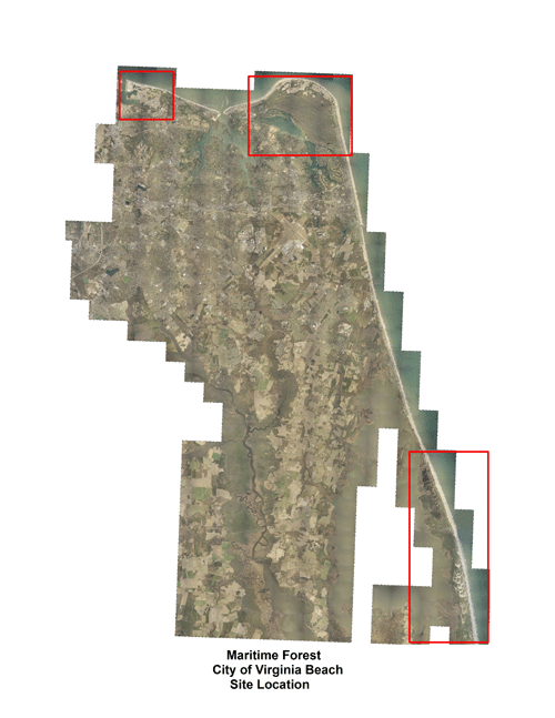 VA Beach Site Location