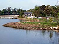 Maryland Living Shoreline