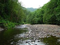 Wilson River, Oregon