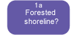 Forested shoreline: Shoreline type dominated by mature canopy trees and other forest vegetation layers, such as mid-story trees, shrubs and ground cover.