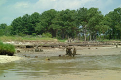 retreating shoreline