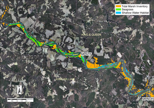 upper mattaponi river tidal fresh