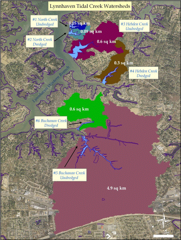 Lynnhaven study area