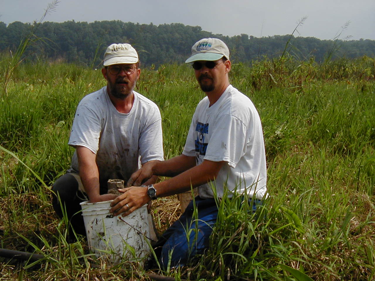 marsh elevation