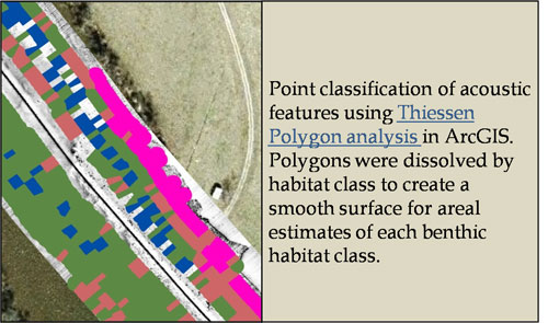 Turkey Island Polygons