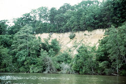 bank erosion